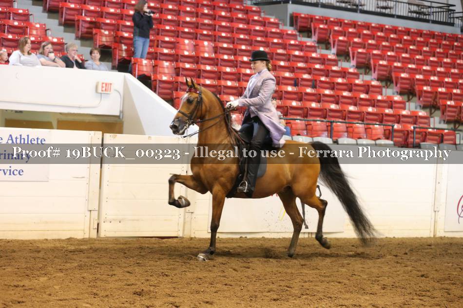 Proof 19BUCK_00323