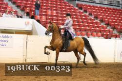 19BUCK_00323 proof