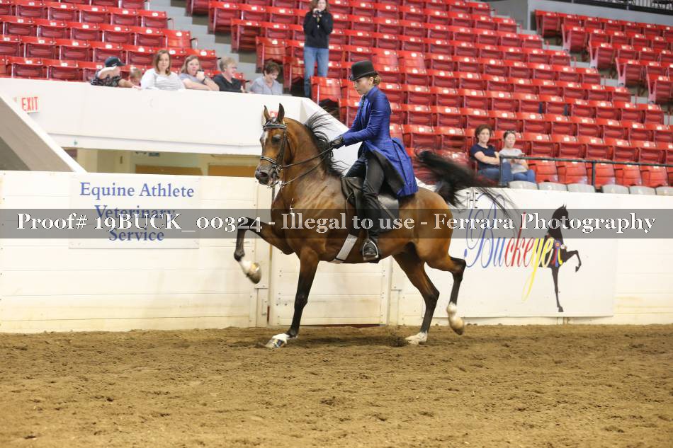 Proof 19BUCK_00324