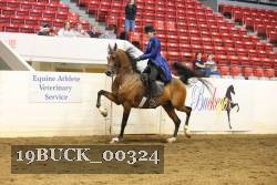 19BUCK_00324 proof