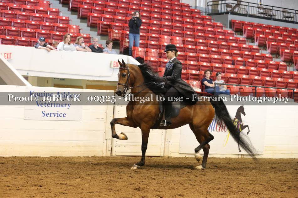 Proof 19BUCK_00325