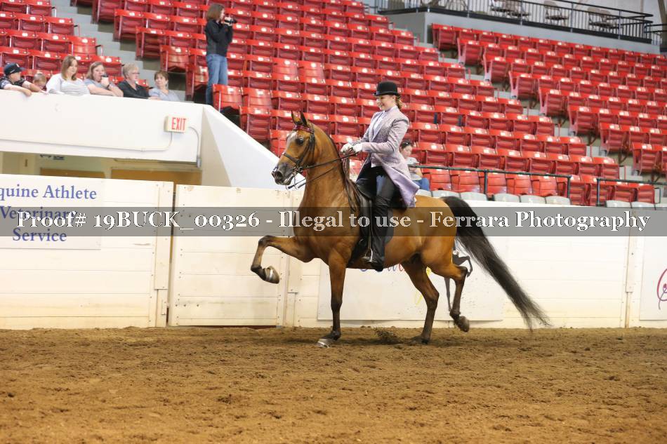 Proof 19BUCK_00326