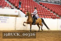 19BUCK_00326 proof