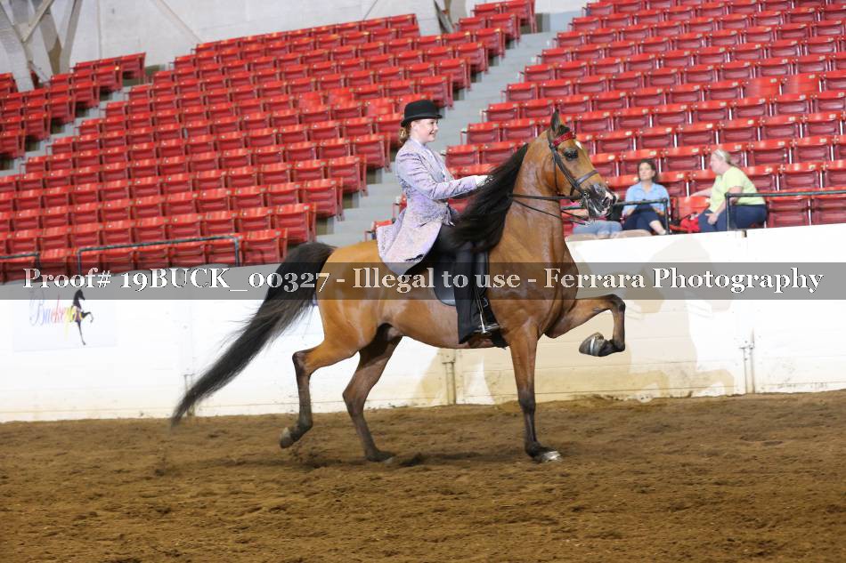 Proof 19BUCK_00327