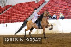 19BUCK_00327 proof