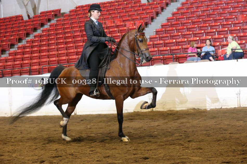 Proof 19BUCK_00328