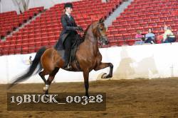 19BUCK_00328 proof