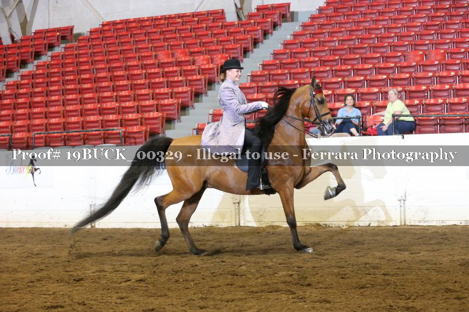 Proof 19BUCK_00329