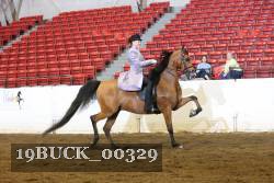 19BUCK_00329 proof