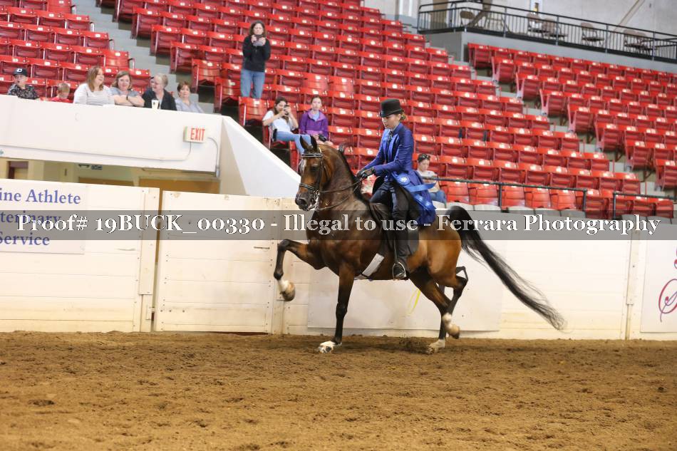 Proof 19BUCK_00330