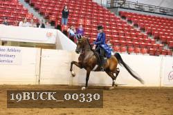 19BUCK_00330 proof