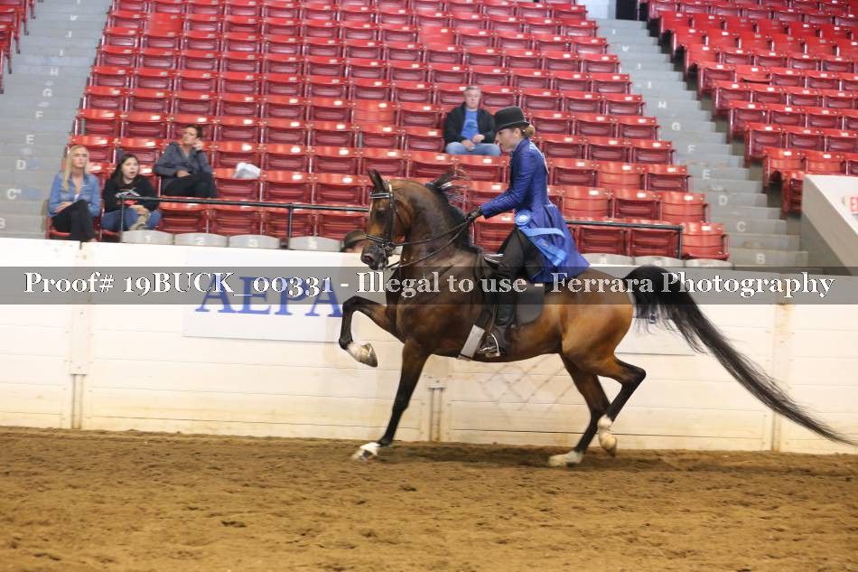 Proof 19BUCK_00331