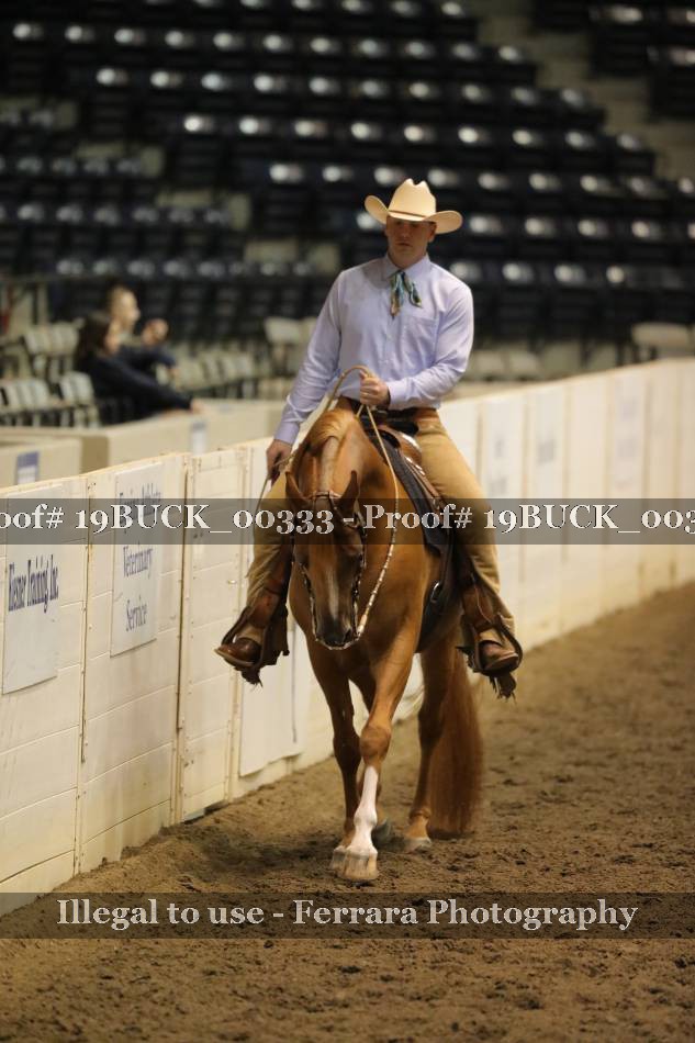 Proof 19BUCK_00333