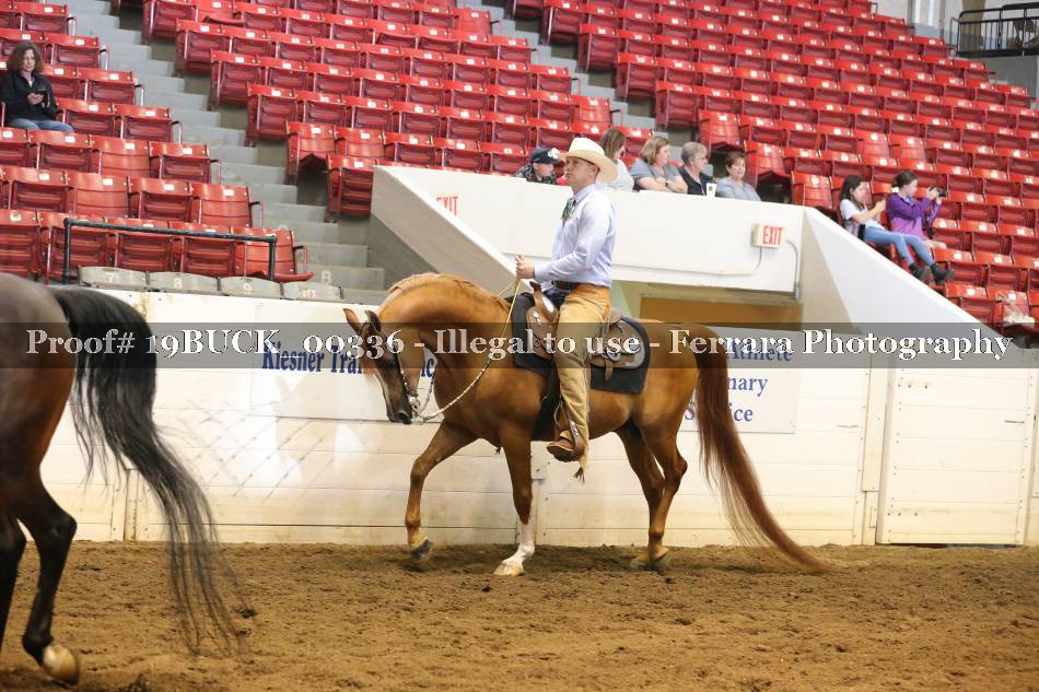 Proof 19BUCK_00336