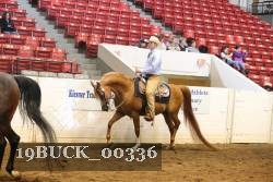 19BUCK_00336 proof