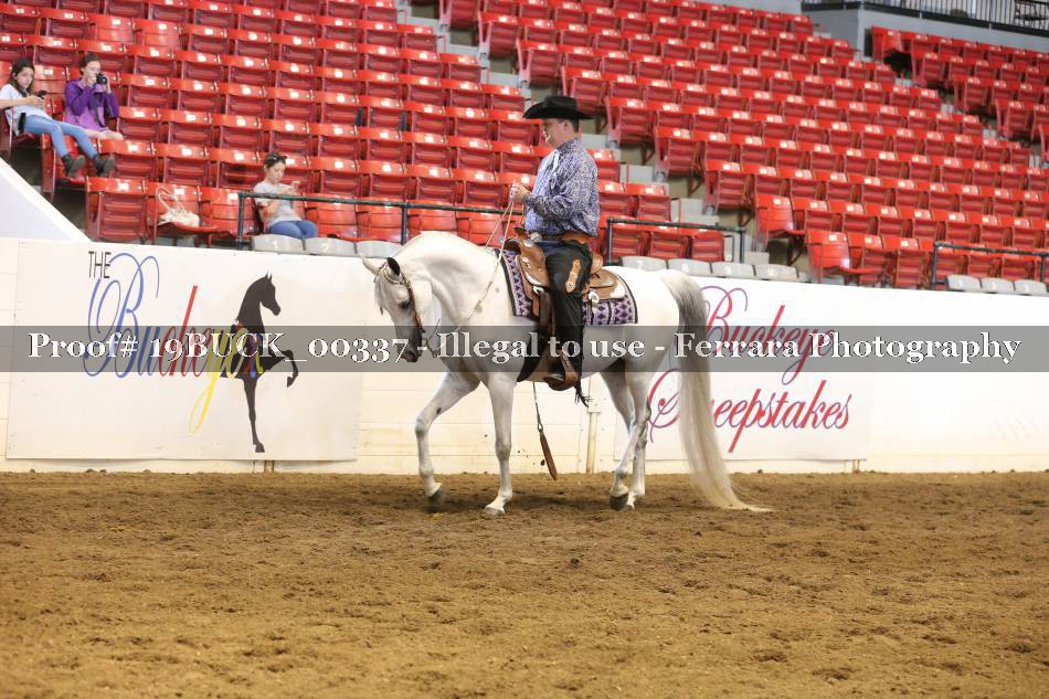 Proof 19BUCK_00337