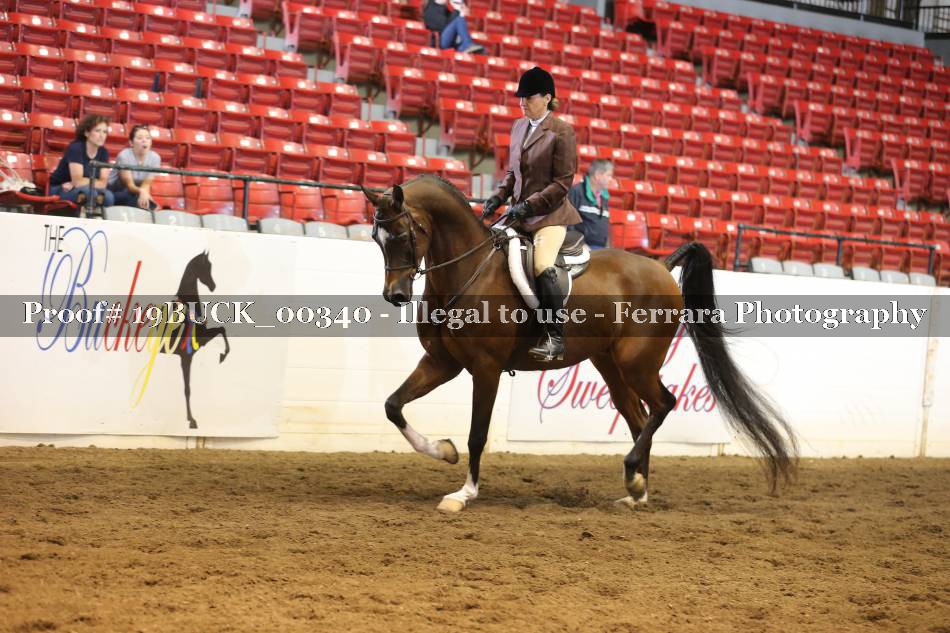 Proof 19BUCK_00340