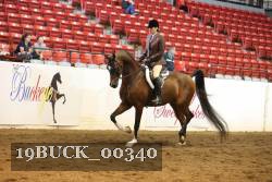 19BUCK_00340 proof