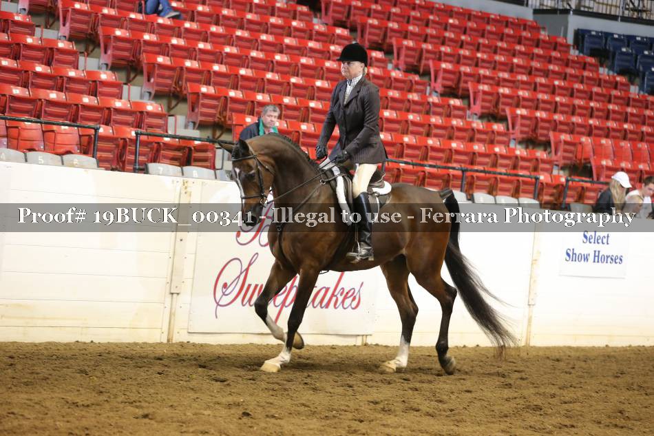 Proof 19BUCK_00341