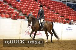 19BUCK_00341 proof