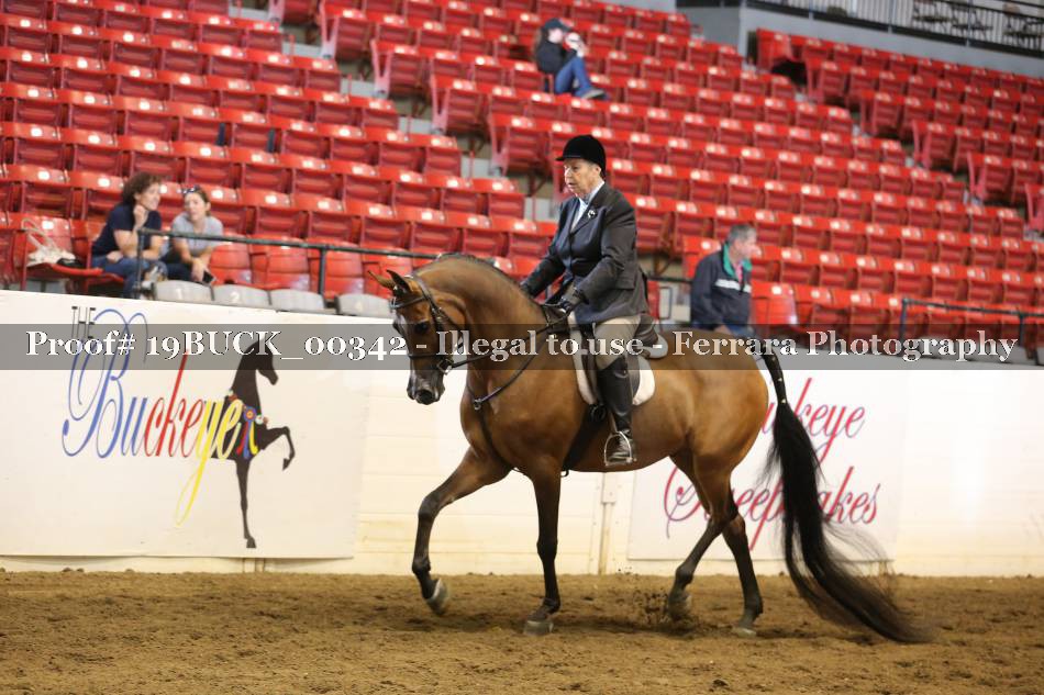 Proof 19BUCK_00342