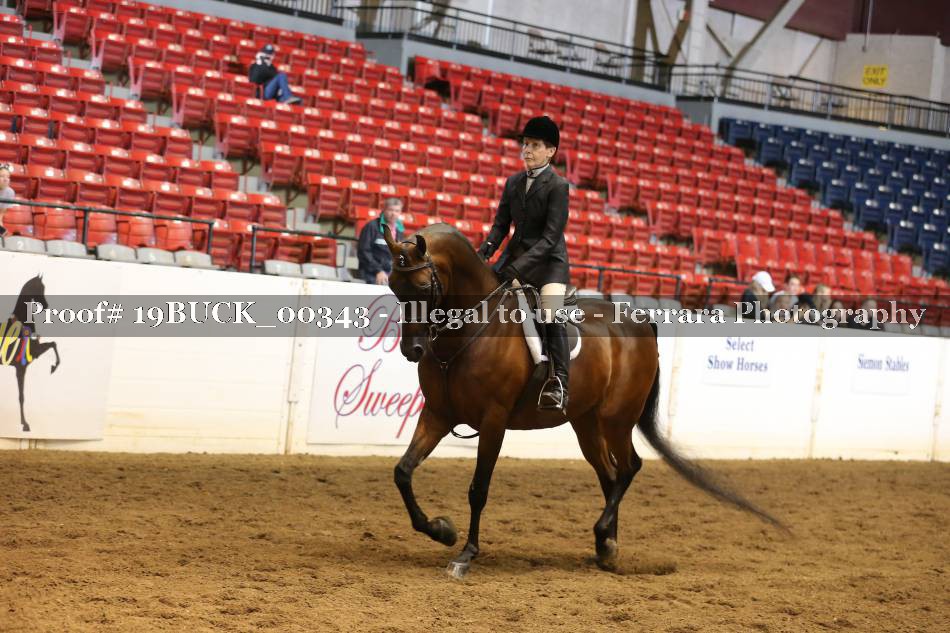 Proof 19BUCK_00343