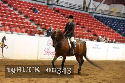 19BUCK_00343 proof