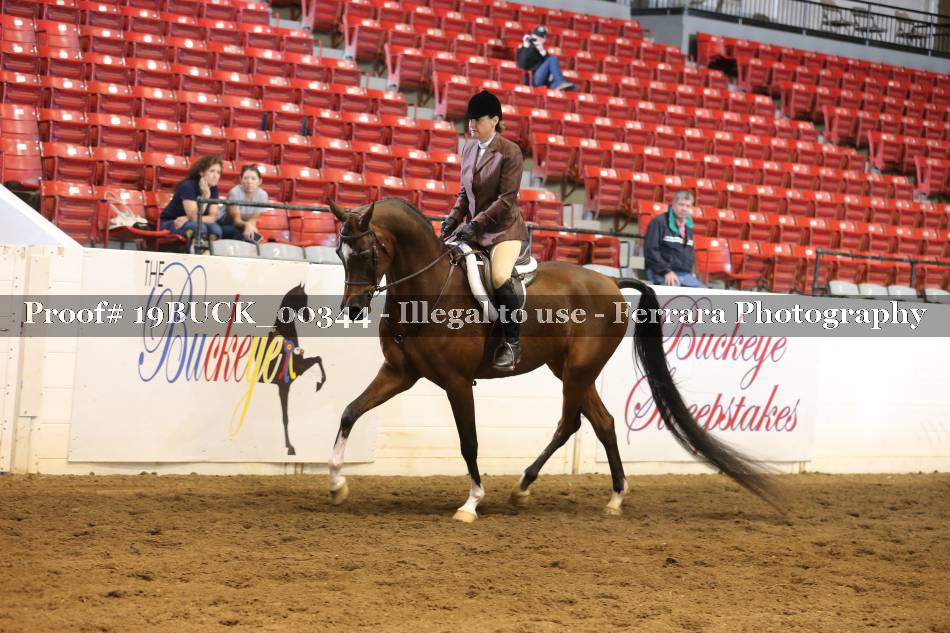 Proof 19BUCK_00344