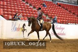 19BUCK_00344 proof