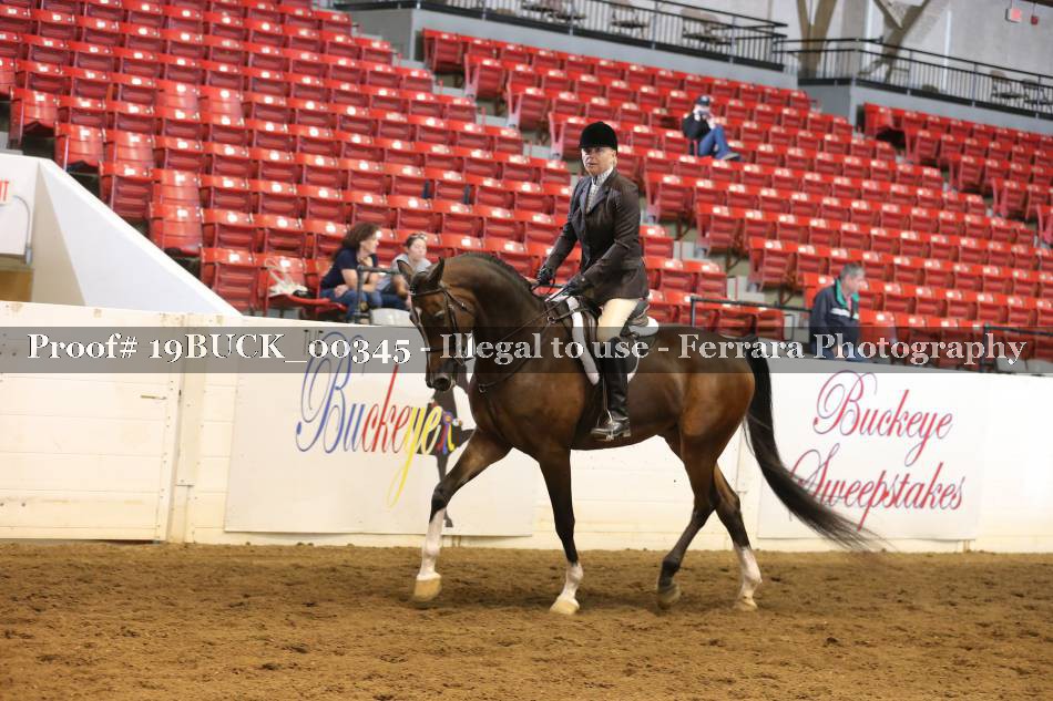 Proof 19BUCK_00345