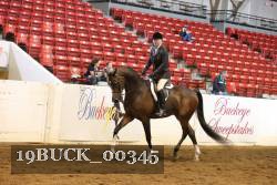 19BUCK_00345 proof