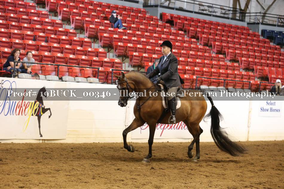 Proof 19BUCK_00346