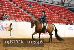 19BUCK_00346 proof