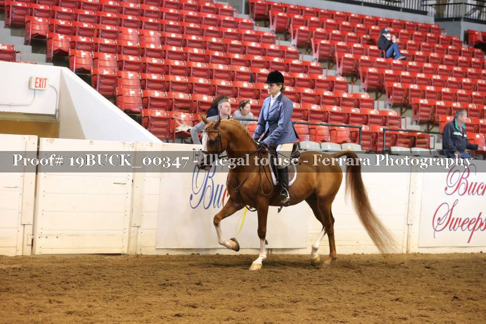 Proof 19BUCK_00347
