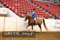 19BUCK_00347 proof