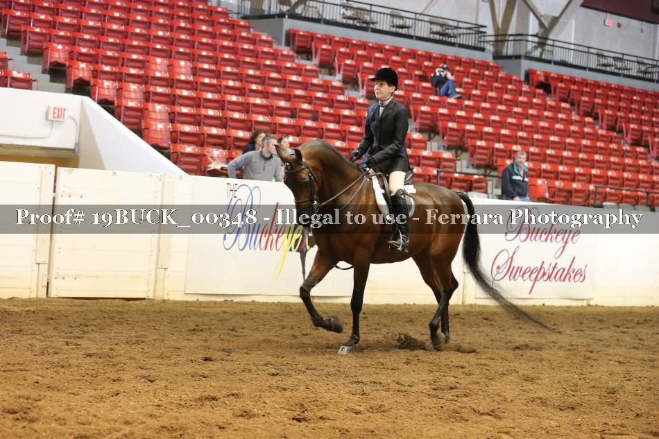 Proof 19BUCK_00348