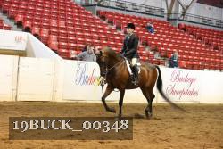 19BUCK_00348 proof