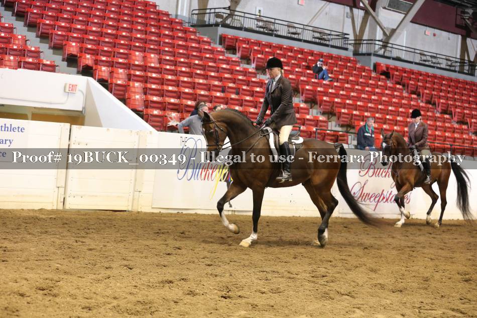 Proof 19BUCK_00349