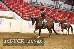 19BUCK_00349 proof