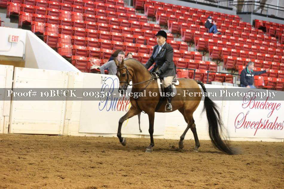 Proof 19BUCK_00350
