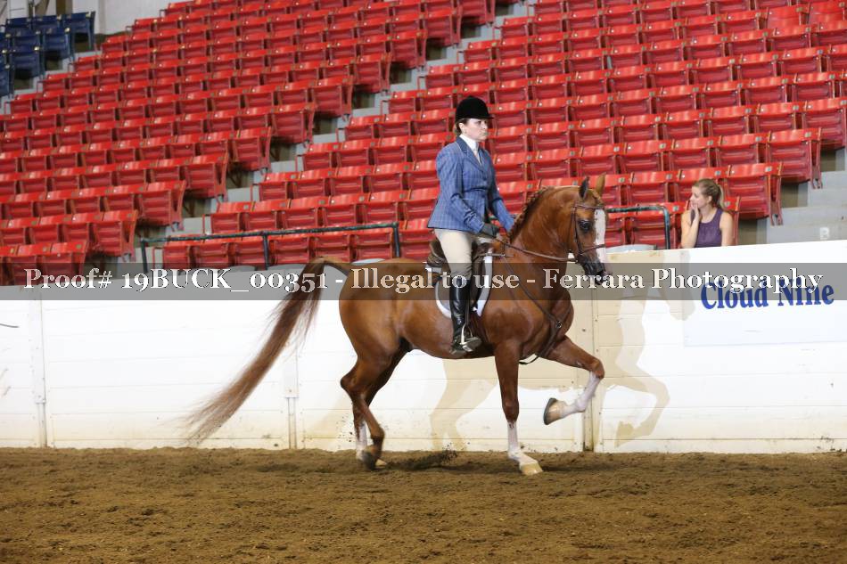 Proof 19BUCK_00351