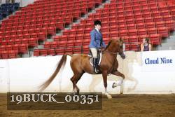 19BUCK_00351 proof