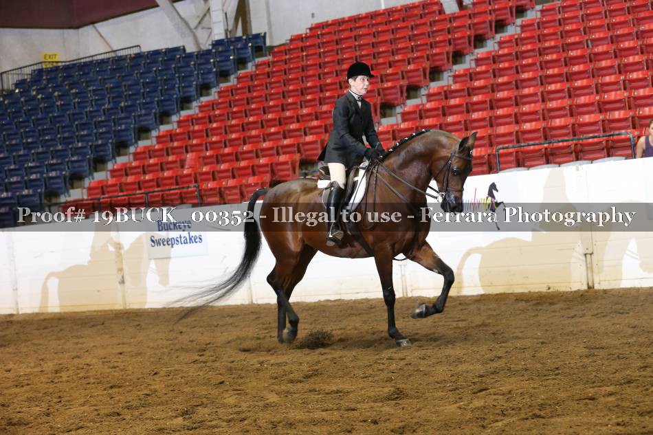 Proof 19BUCK_00352