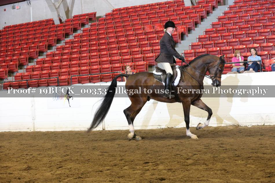 Proof 19BUCK_00353