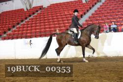19BUCK_00353 proof
