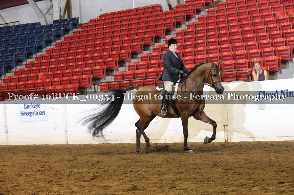 Proof 19BUCK_00354