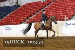 19BUCK_00354 proof