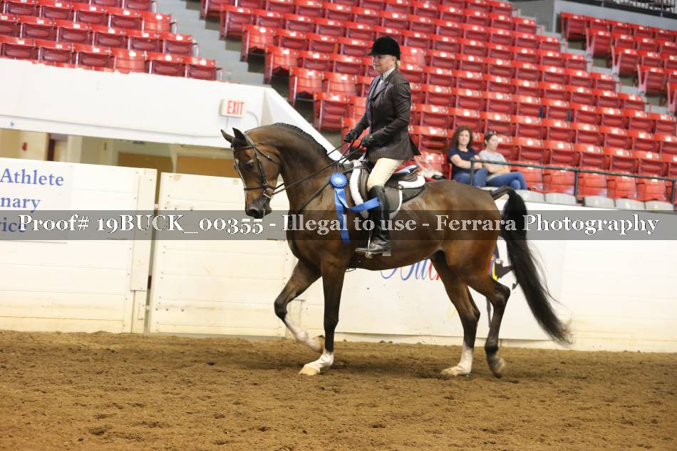 Proof 19BUCK_00355