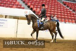 19BUCK_00355 proof