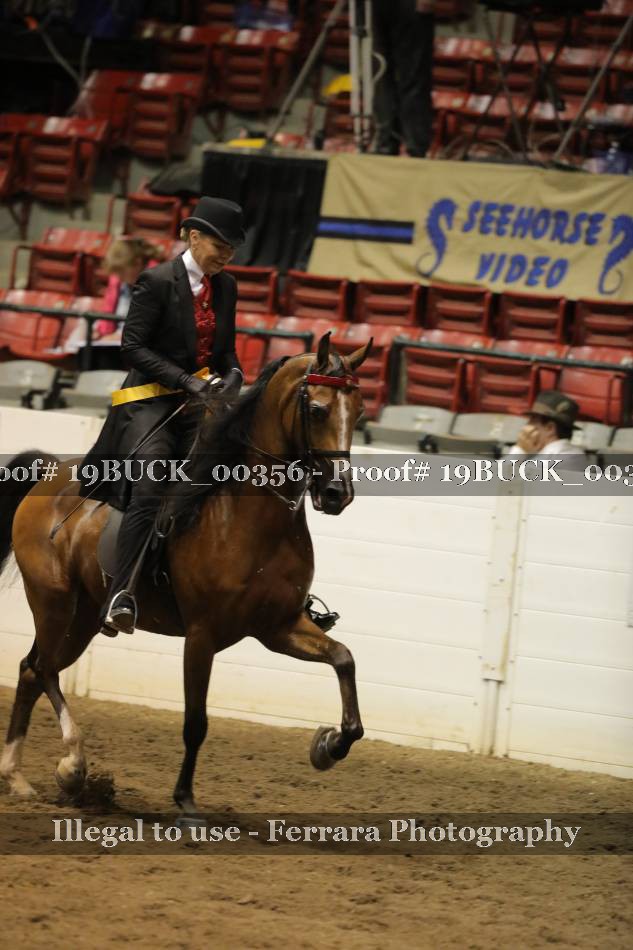 Proof 19BUCK_00356